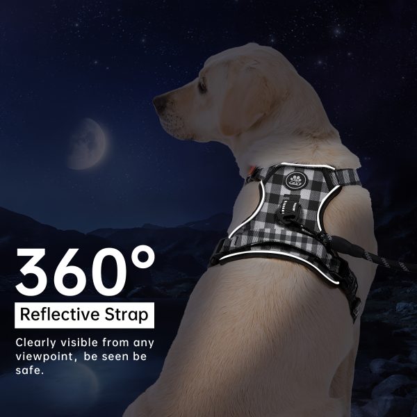No-Pull Dog Harness for Large Dogs, Fully Adjustable with Leash, Safety Belt, Storage Strap, 360° Reflective Strips & Comfortable Handle - Image 9