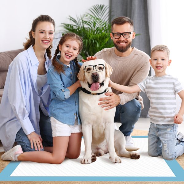 Pawsome Pads - Ultra-Absorbent, Leak-Proof, Quick-Dry Dog and Puppy Training Pads - Regular Size, 22 x 22 Inches, 23.62 x 23.62 Inches, Pack of 100, Blue & White, Ideal for Potty Training, Indoor Use, and Pet Owners on-the-go - Image 12