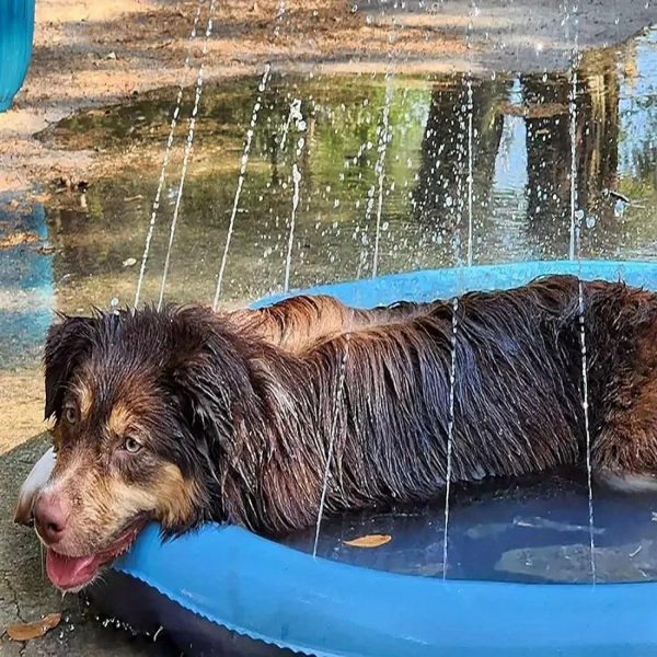 67" Thicken Pet Swimming Pool - Ultimate Backyard Playset & Water Pad for Dogs - Summer Fun, Easy Setup, Durable, and Safe - Image 3