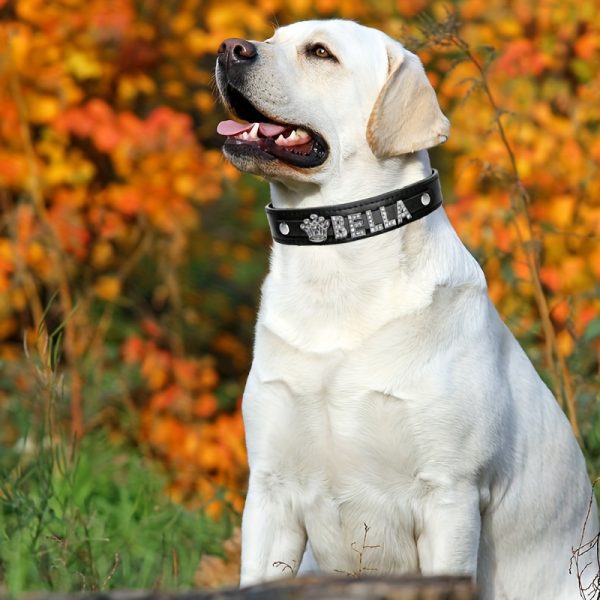 Customizable Dog Collar with Shiny Heart & Star Ornaments, PU Leather, Adjustable Head & Buckle Closure, Pet Supplies for Small, Medium, Large Dogs - Image 12