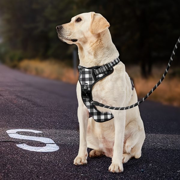 No-Pull Dog Harness for Large Dogs, Fully Adjustable with Leash, Safety Belt, Storage Strap, 360° Reflective Strips & Comfortable Handle - Image 5