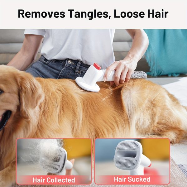 2.5L Pet Hair Vacuum Cleaner & Dog Grooming Kit, 13000kpa/300W Powerful 3-Modes Vacuum with Low Noise Design, Electric Clipper & 4 Comb Attachments for Dogs, Cats, and Other Animals - Image 5