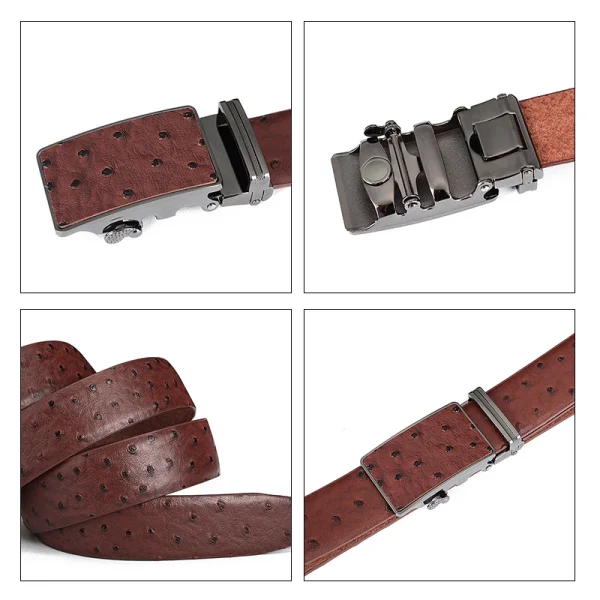 Maikun Luxury Leather Belt for Men Original Designt Ostrich Grain Automatic Buckle Belt Ceinture Homme Cinto Masculino - Image 4