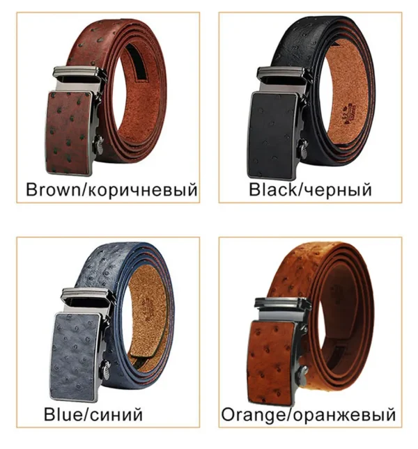 Maikun Luxury Leather Belt for Men Original Designt Ostrich Grain Automatic Buckle Belt Ceinture Homme Cinto Masculino - Image 3