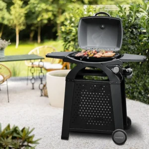 BBQ Propane Gas Grill with Side Tables Grill Cart, Portable Tabletop Gas Grill for Patio, Beach, Picnic, Outdoor Camping