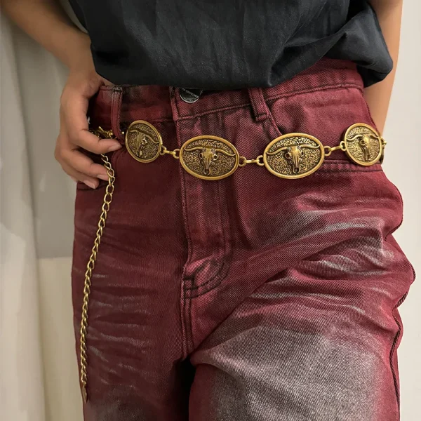 Vintage Silver Metal Waist Chain Belt Sun Bull Coins Designer Belts For Women High Quality Punk Gothic Y2K Waistband Female - Image 3