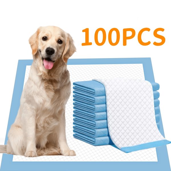 Pawsome Pads - Ultra-Absorbent, Leak-Proof, Quick-Dry Dog and Puppy Training Pads - Regular Size, 22 x 22 Inches, 23.62 x 23.62 Inches, Pack of 100, Blue & White, Ideal for Potty Training, Indoor Use, and Pet Owners on-the-go - Image 7