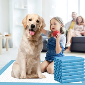 Pawsome Pads - Ultra-Absorbent, Leak-Proof, Quick-Dry Dog and Puppy Training Pads - Regular Size, 22 x 22 Inches, 23.62 x 23.62 Inches, Pack of 100, Blue & White, Ideal for Potty Training, Indoor Use, and Pet Owners on-the-go